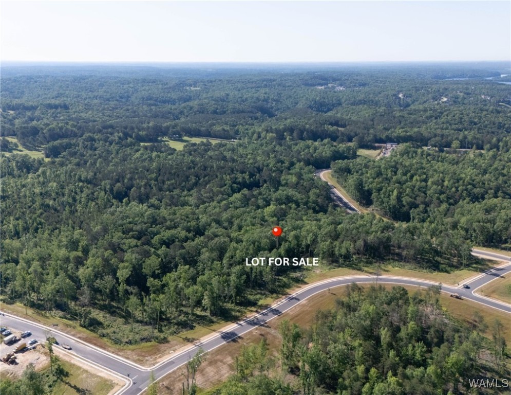 9 Lake Island Rd, Tuscaloosa, Alabama image 2