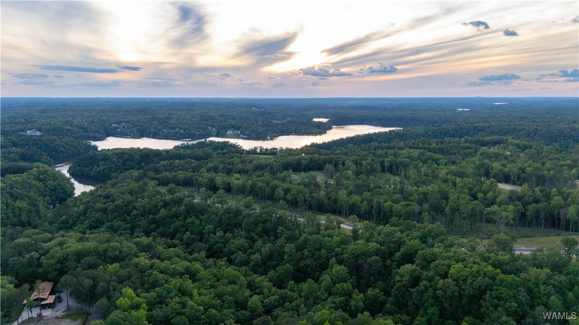9 Lake Island Rd, Tuscaloosa, Alabama image 9