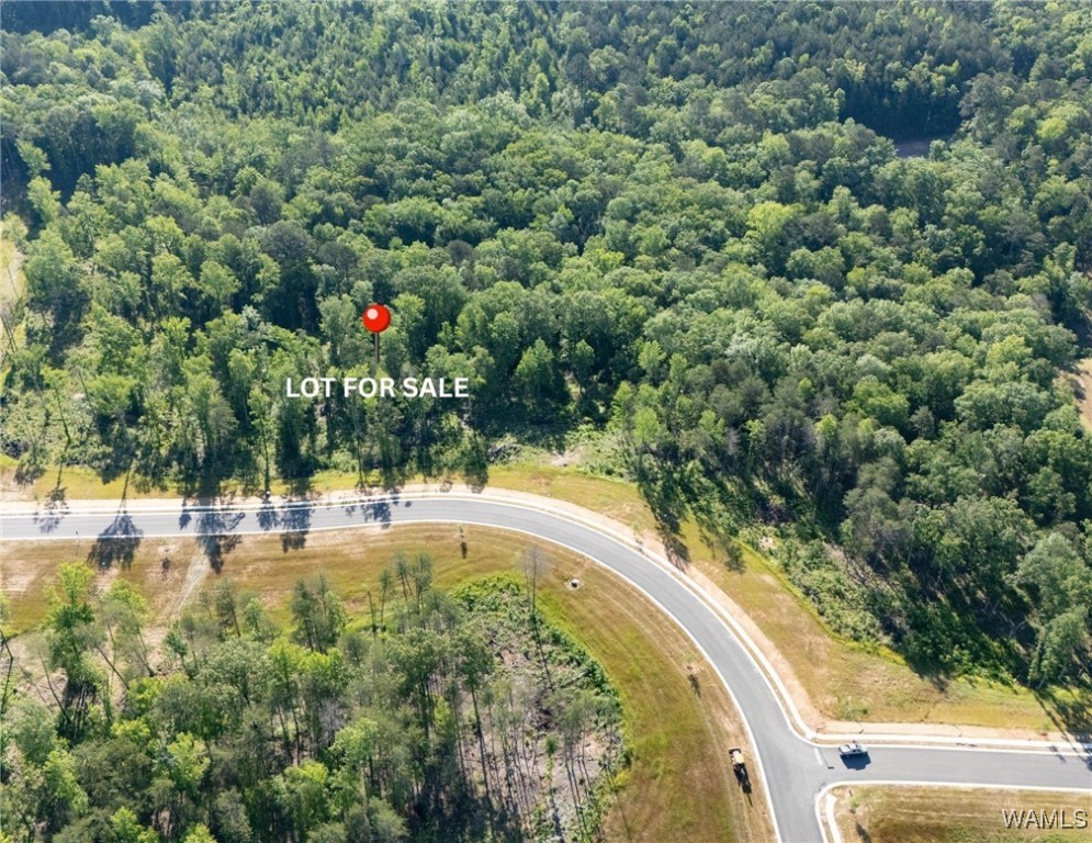 9 Lake Island Rd, Tuscaloosa, Alabama image 3