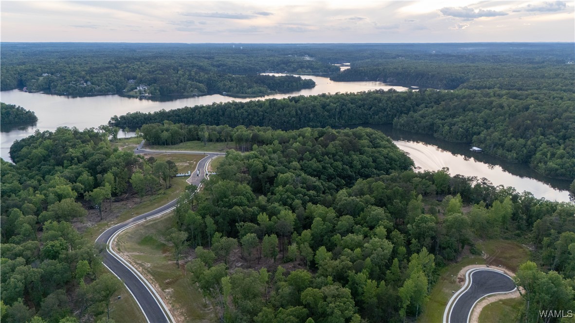 9 Lake Island Rd, Tuscaloosa, Alabama image 12