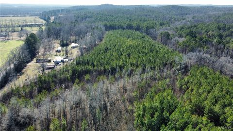 Vacant Land For Sale - 2 County Road 51<br/> Fayette, AL 35555