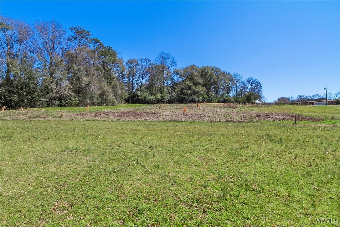 370 M.a. Sanders, Moundville, Alabama image 25