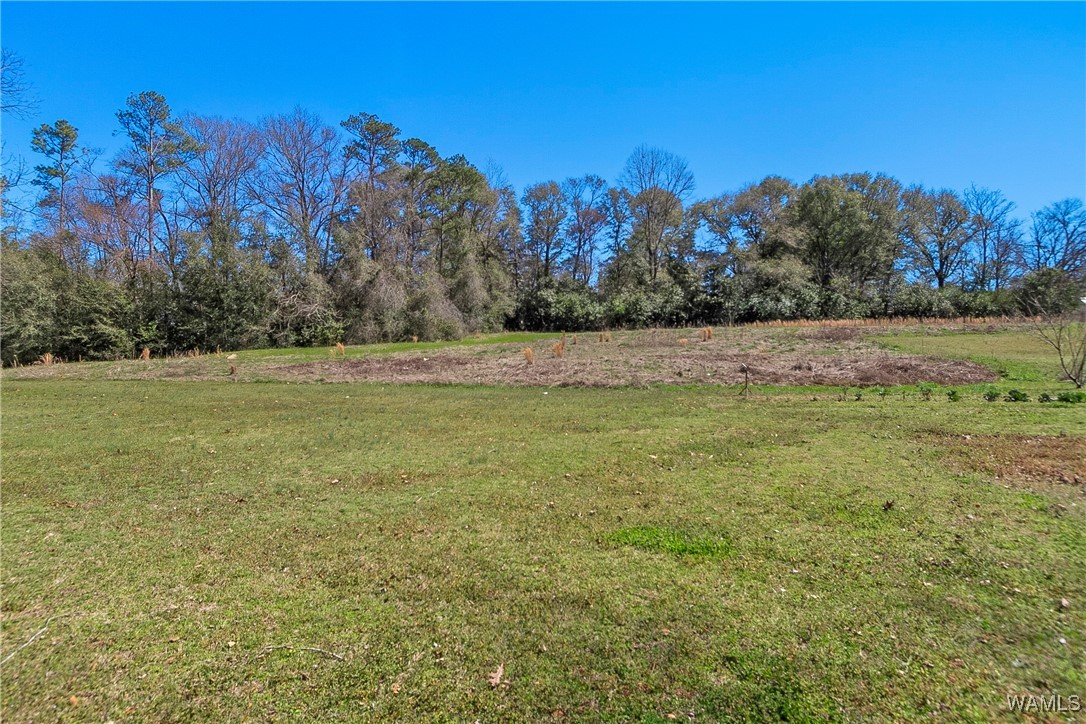 370 M.a. Sanders, Moundville, Alabama image 23