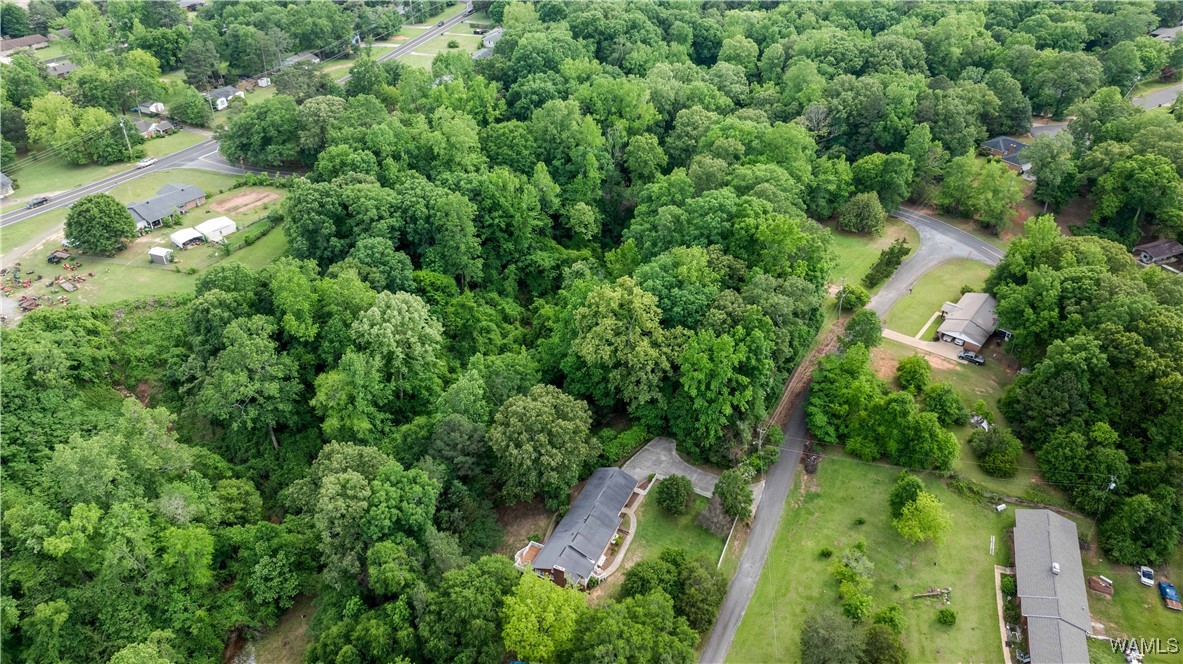 4741 Bay St. St, Tuscaloosa, Alabama image 44