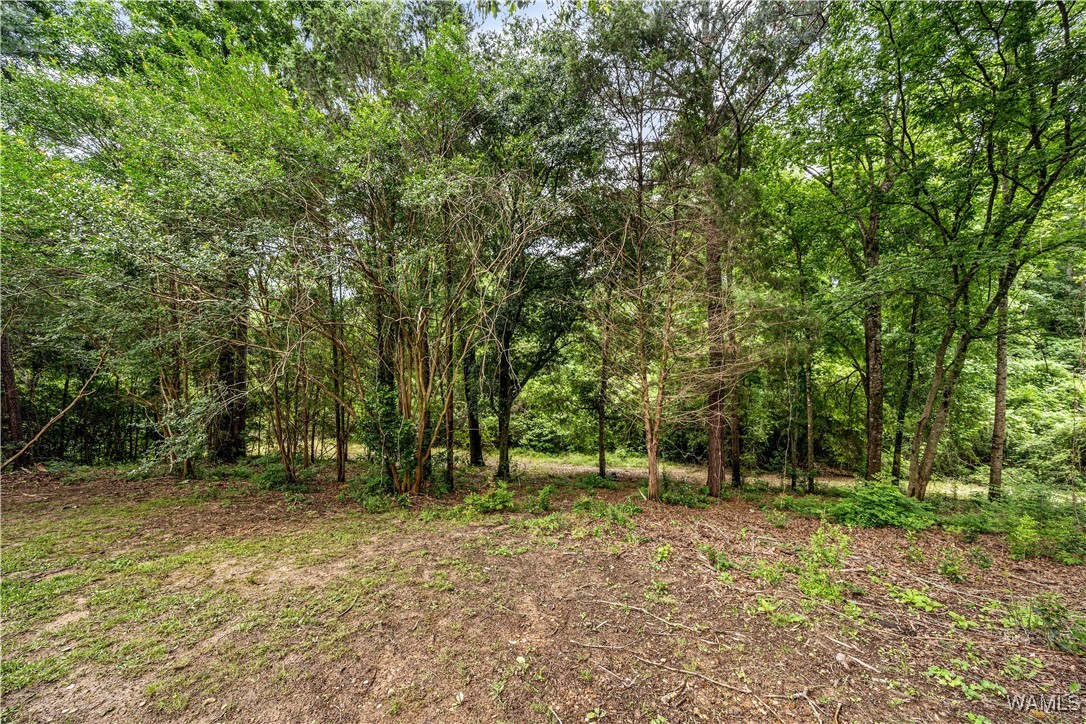 4741 Bay St. St, Tuscaloosa, Alabama image 41