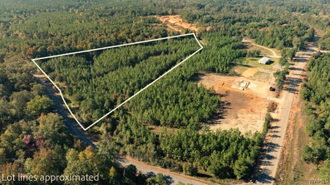 Vacant Land For Sale - Phelps Road<br/> Tuscaloosa County, Tuscaloosa, AL 35406