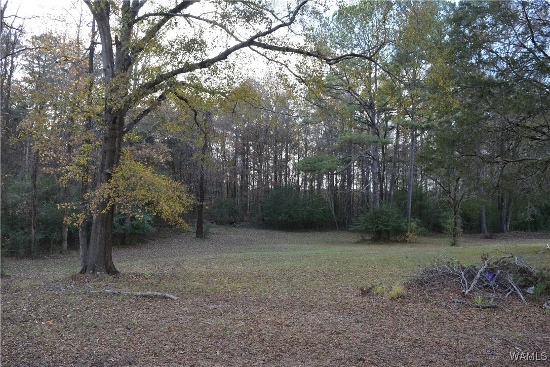 13930 B T Short Cut Off Rd, Vance, Alabama image 34