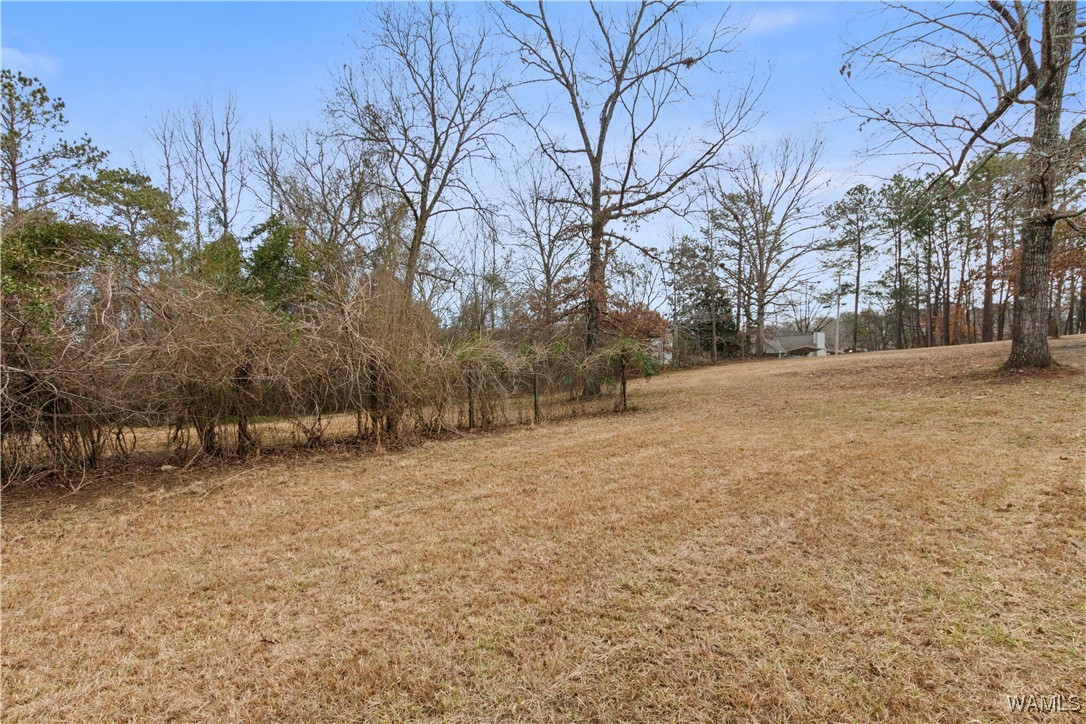 Georgia Loop #LOT 9, Woodstock, Alabama image 5