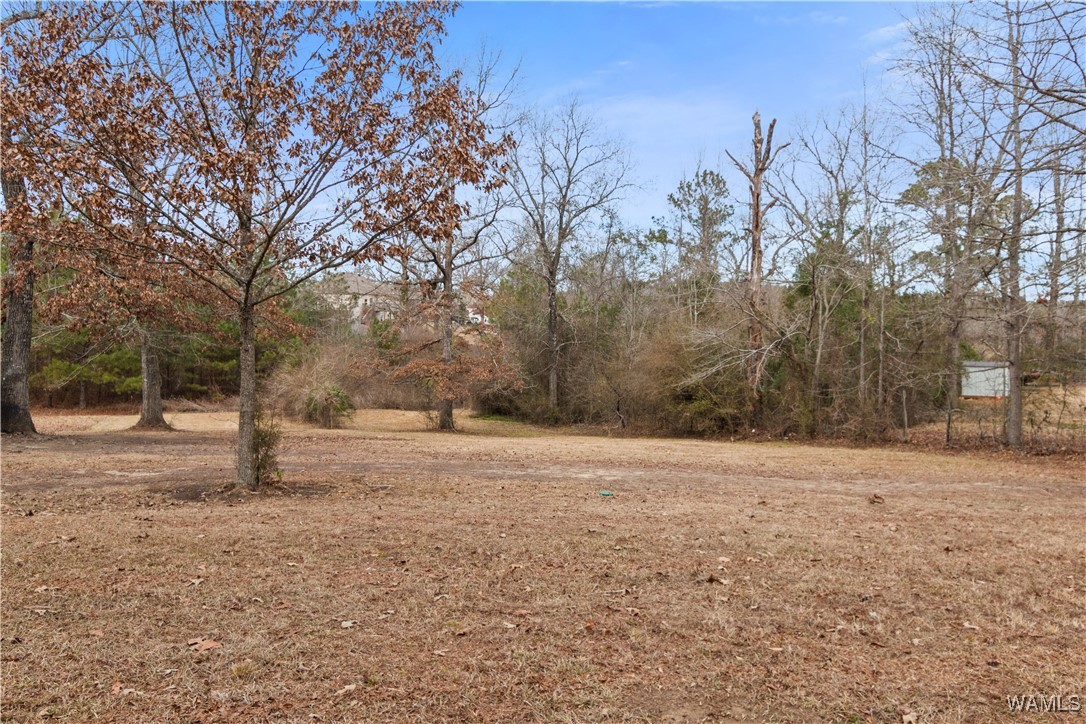 Georgia Loop #LOT 9, Woodstock, Alabama image 2