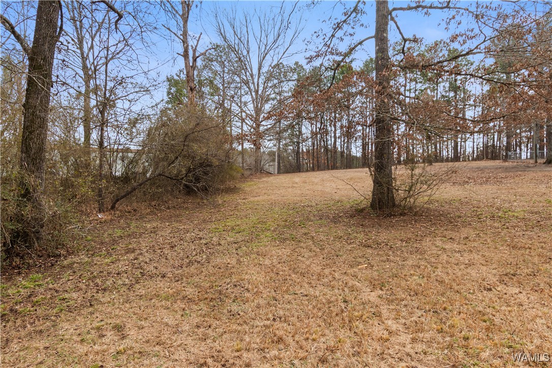 Georgia Loop #LOT 9, Woodstock, Alabama image 7