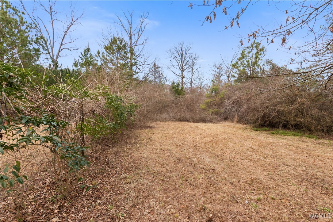 Georgia Loop #LOT 9, Woodstock, Alabama image 6