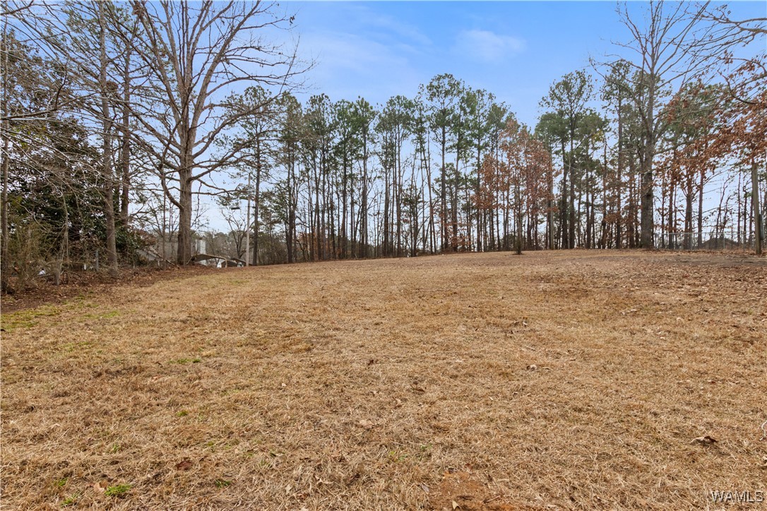 Georgia Loop #LOT 9, Woodstock, Alabama image 1