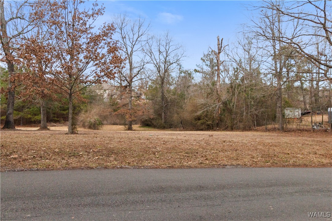 Georgia Loop #LOT 9, Woodstock, Alabama image 3