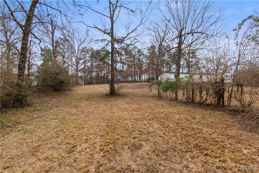 Georgia Loop #LOT 9, Woodstock, Alabama image 8