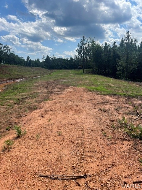 Lot 8 Longleaf