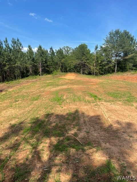 Lot 8 Longleaf