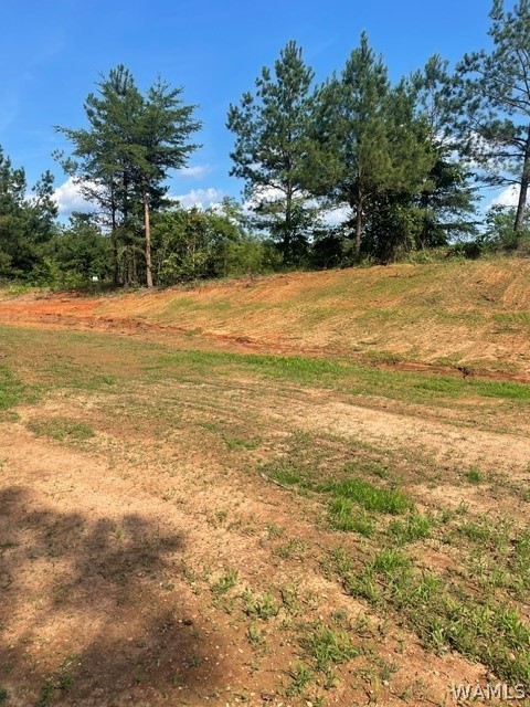 Lot 8 Longleaf