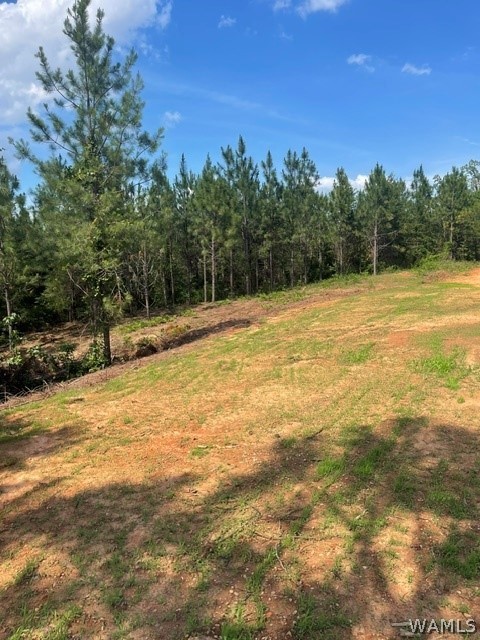 Lot 8 Longleaf