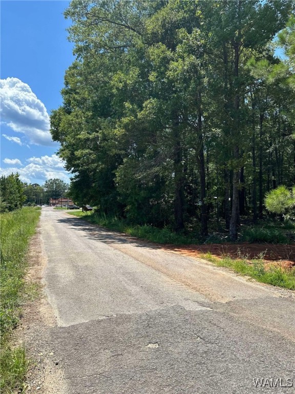 193 6th Street, Reform, Alabama image 8