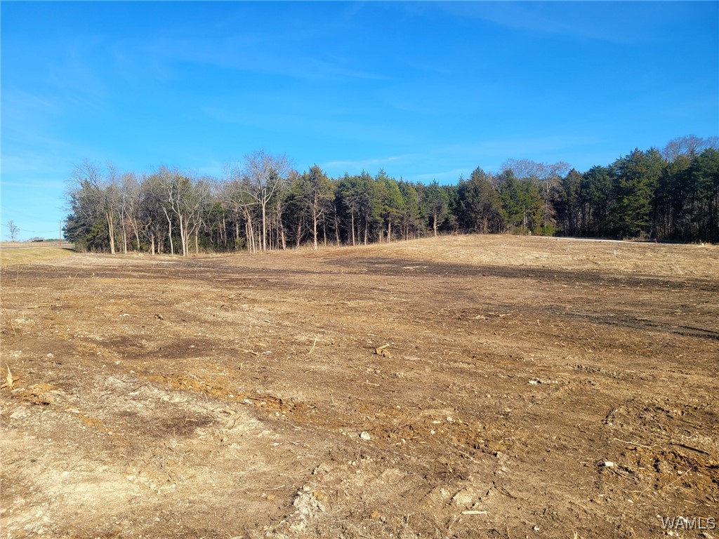 Lot 34 Country Club Road, Livingston, Alabama image 2