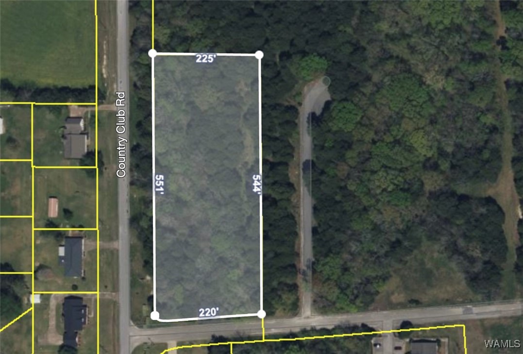 Lot 34 Country Club Road, Livingston, Alabama image 3