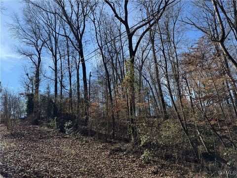 Vacant Land For Sale - 00 East Lake Drive<br/> Tuscaloosa, AL 35405