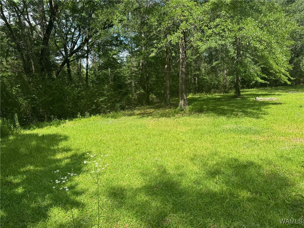 4253 County Rd 8, Reform, Alabama image 4
