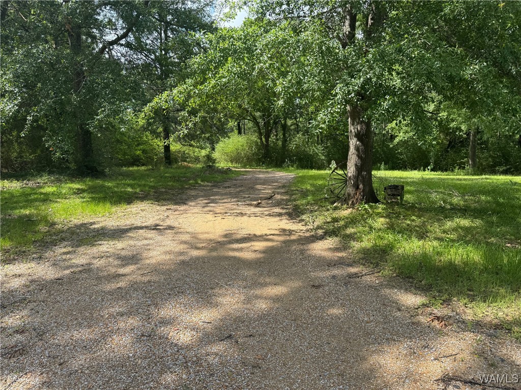4253 County Rd 8, Reform, Alabama image 5