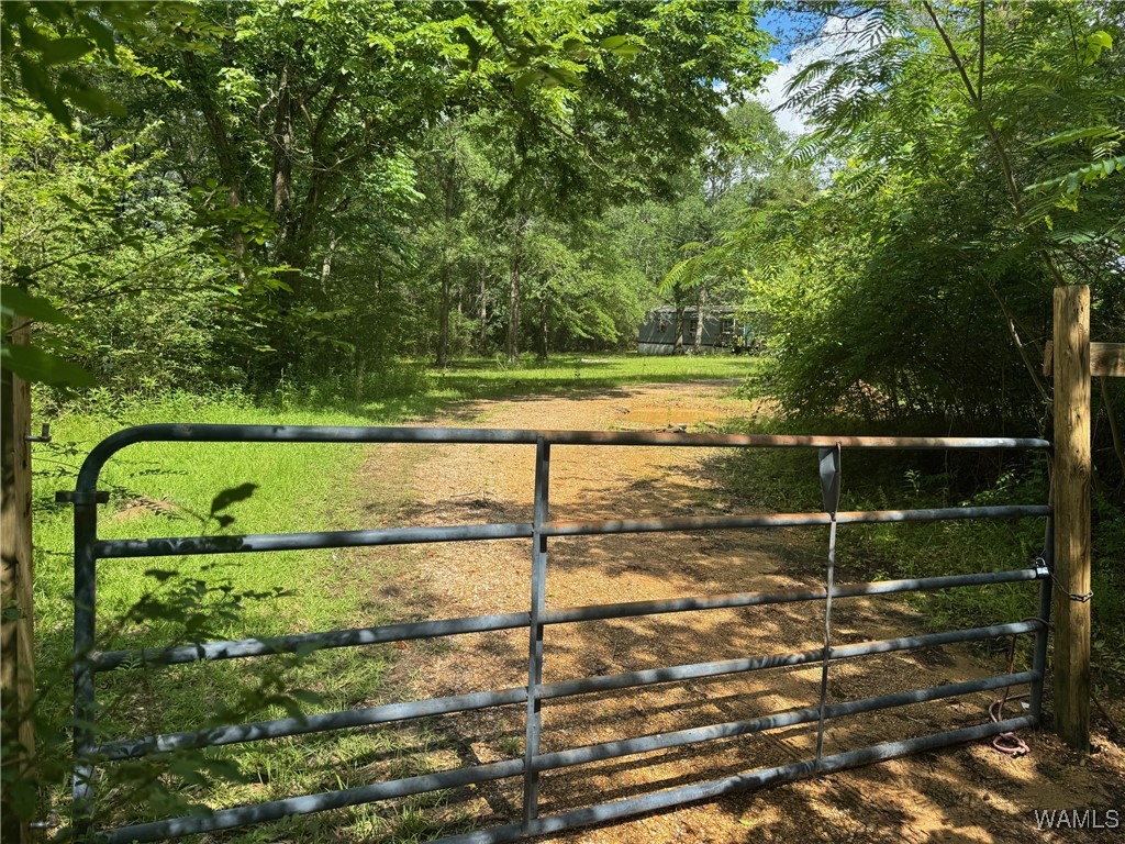 4253 County Rd 8, Reform, Alabama image 1