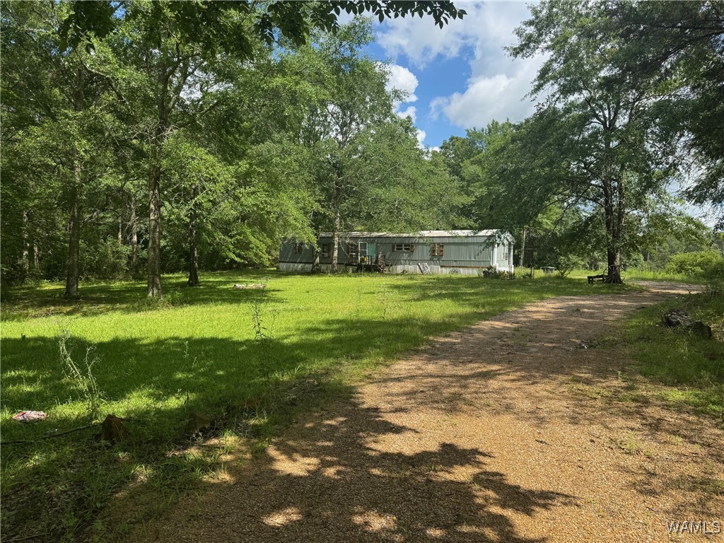 4253 County Rd 8, Reform, Alabama image 2