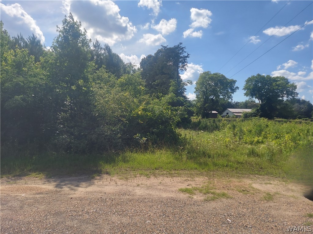 22573 Highway 43 N