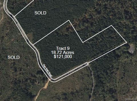 Vacant Land For Sale - 9 Milldale Road<br/> Brookwood, AL 35444