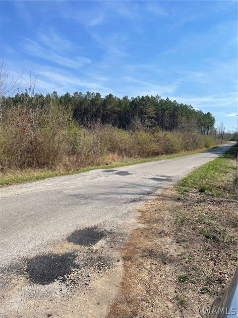 Vacant Land For Sale - County Road 53<br/> Fayette County, Eldridge, AL 35554