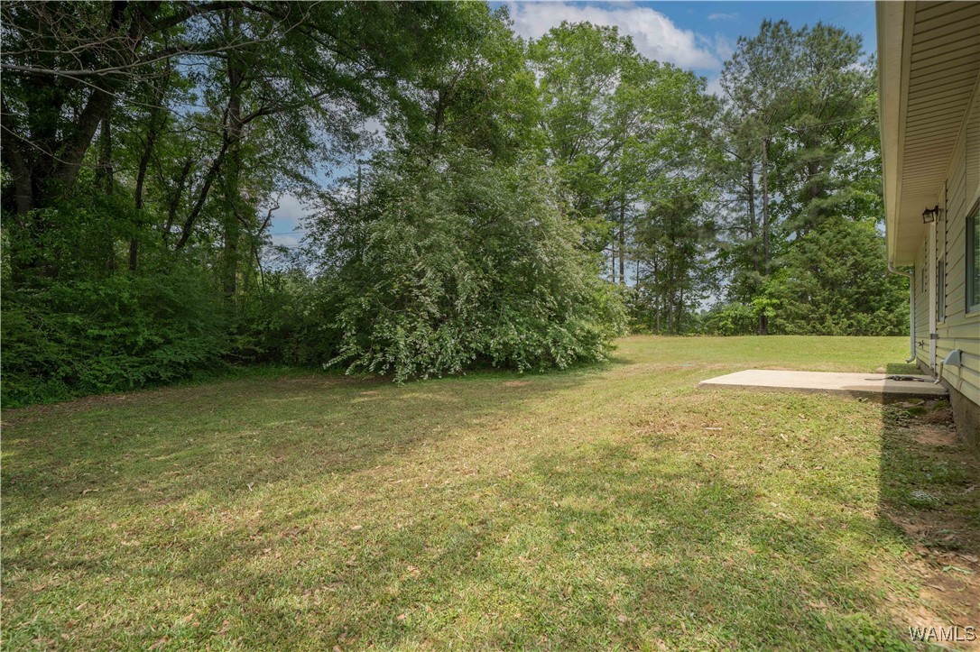 12594 Drift Bay Cove, Elrod, Alabama image 5