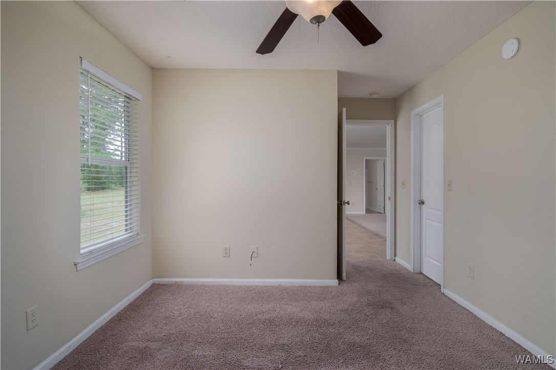 12594 Drift Bay Cove, Elrod, Alabama image 20