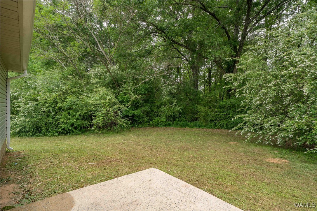 12594 Drift Bay Cove, Elrod, Alabama image 6