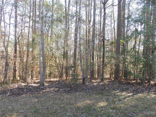 DAFFRON RD, COTTONDALE, AL 35453 - Image 2a1bf5f27de536bb374e511e578c2d31/1797663203