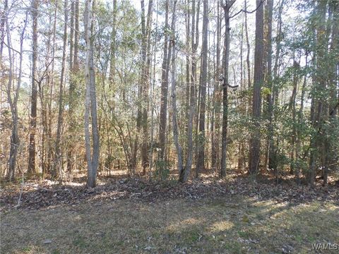 Vacant Land For Sale - 0000 Daffron Road<br/> Tuscaloosa, AL 35453
