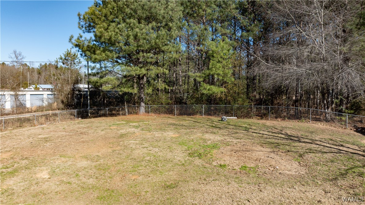 10802 Middle Coaling Road, Coaling, Alabama image 22