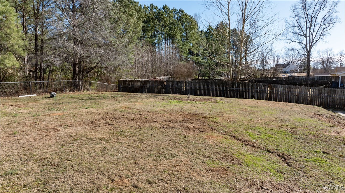 10802 Middle Coaling Road, Coaling, Alabama image 23