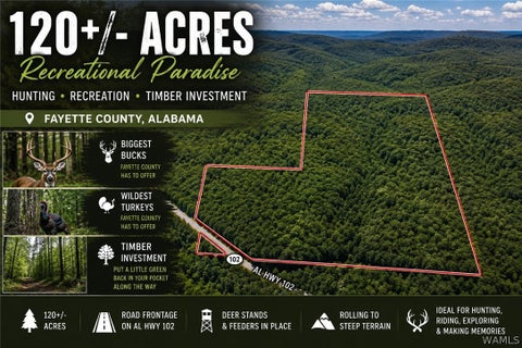 Vacant Land For Sale - 000 Al Hwy 102<br/> Carbon Hill, AL 35549
