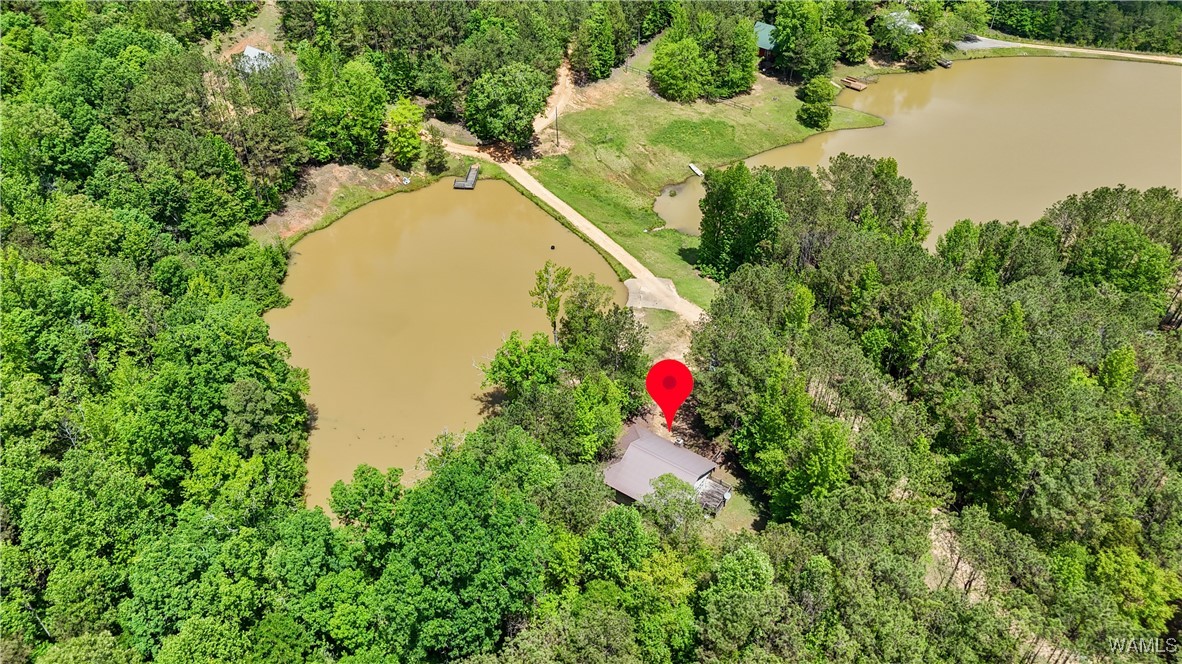 40 White Oak Lock, Fayette, Alabama image 30