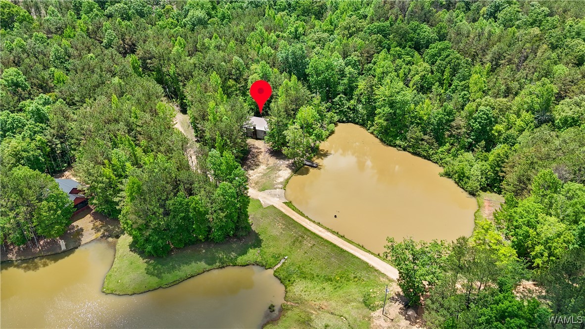 40 White Oak Lock, Fayette, Alabama image 29