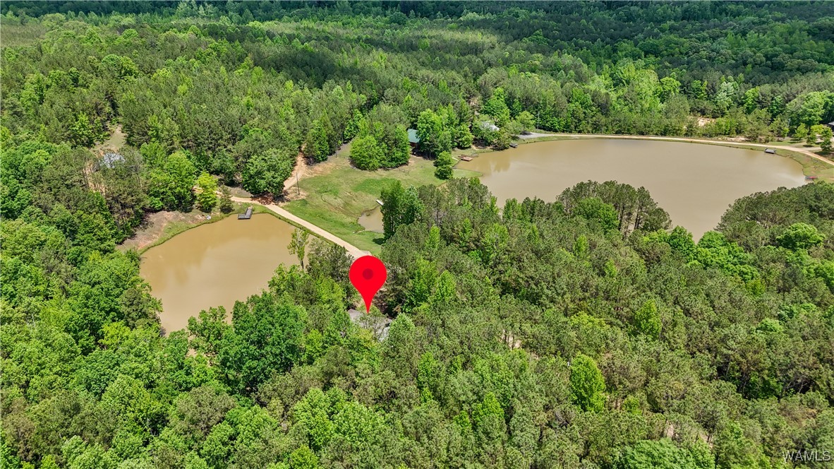 40 White Oak Lock, Fayette, Alabama image 31