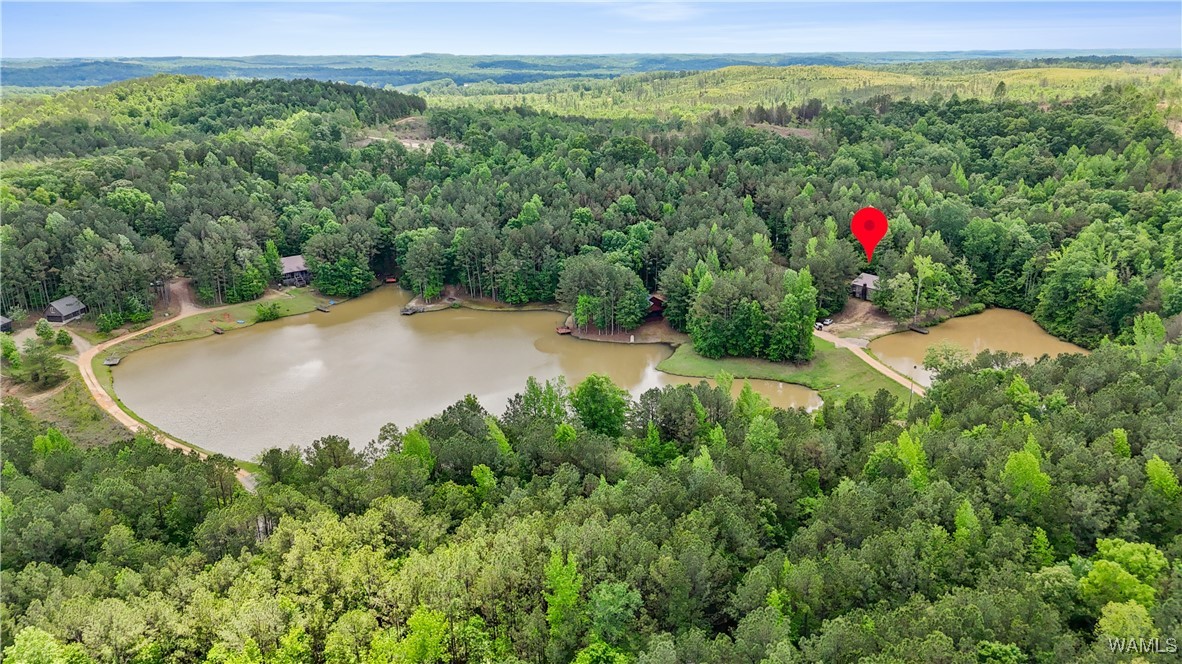 40 White Oak Lock, Fayette, Alabama image 28
