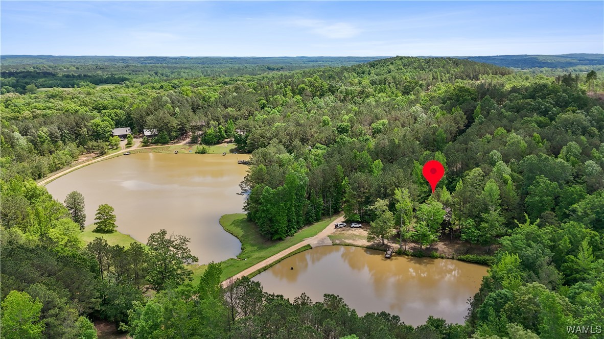 40 White Oak Lock, Fayette, Alabama image 27