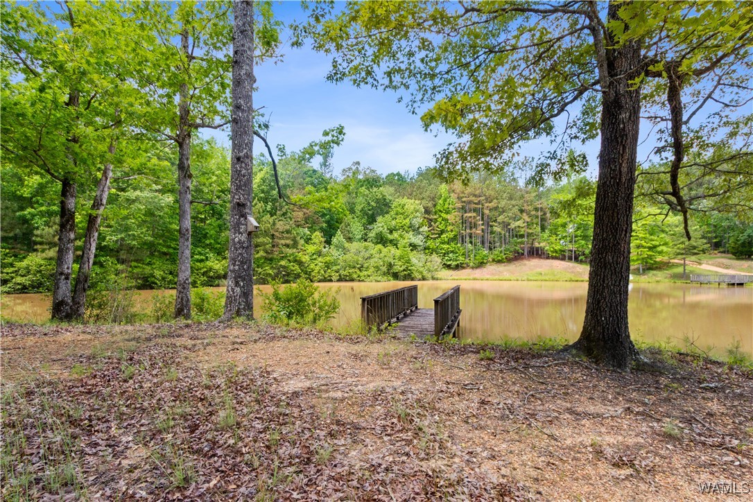 40 White Oak Lock, Fayette, Alabama image 25