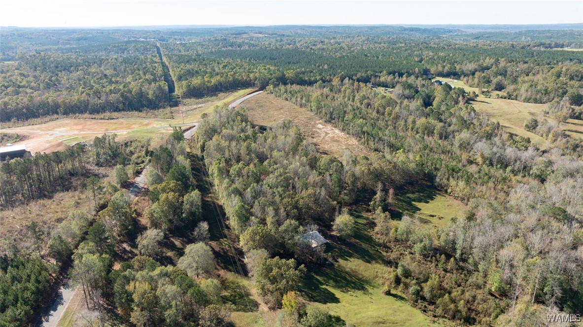 Harless Road, North Port, Alabama image 6