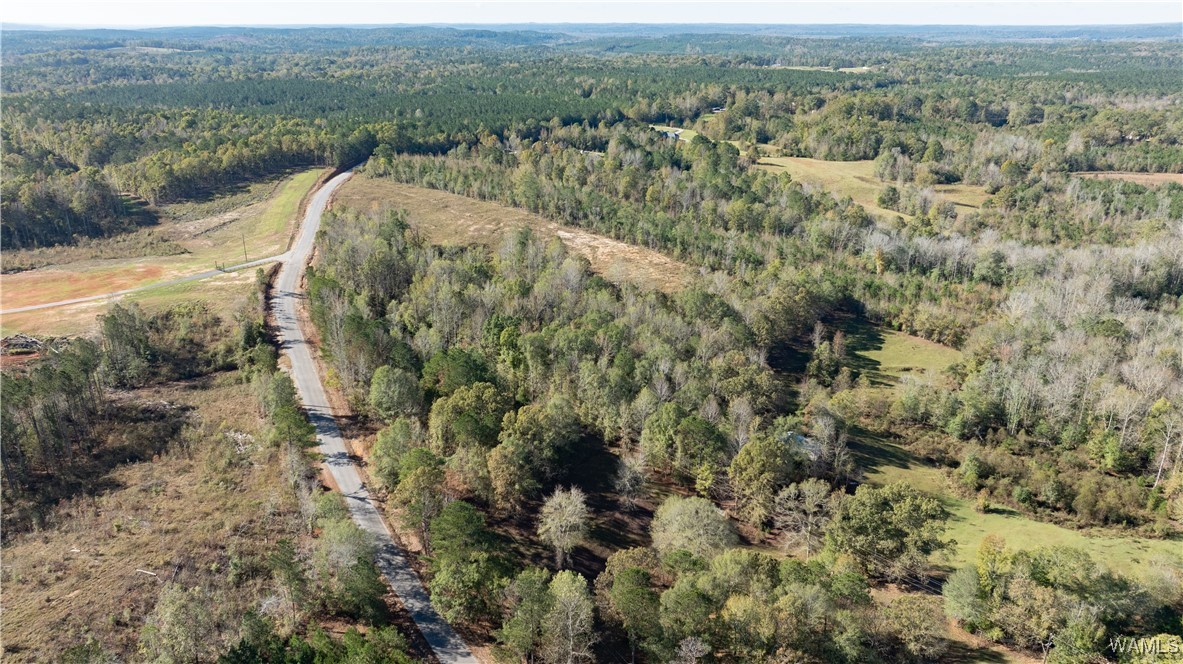 Harless Road, North Port, Alabama image 8