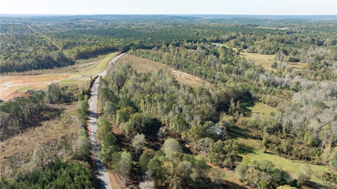 Harless Road, North Port, Alabama image 7